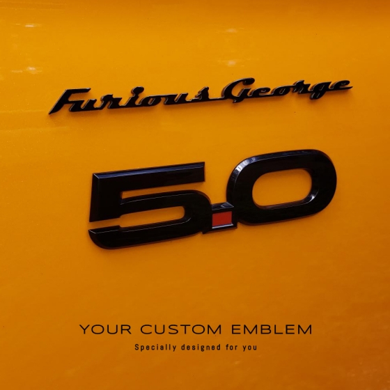 Furious George Emblem painted in Black metallic installed on his Orange Mustang