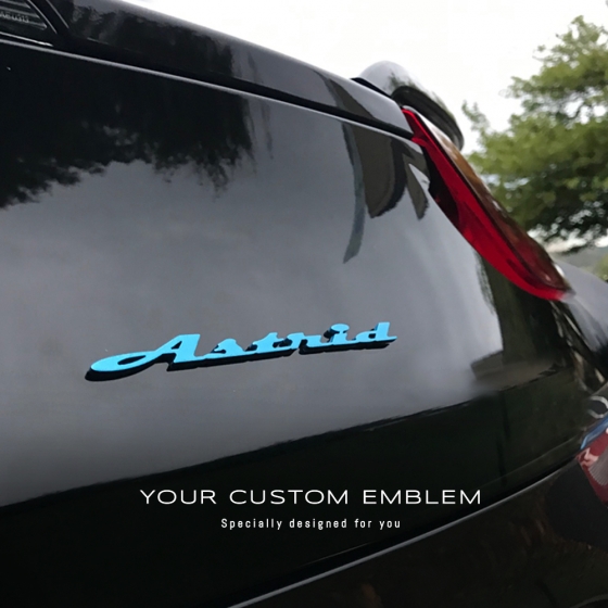 Astrid Emblem painted in Frozen blue as requested - Installed on his BMW I8