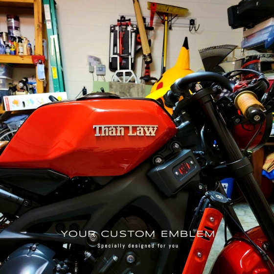 Than Law Custom made Emblem in stainless steel mirror finishing